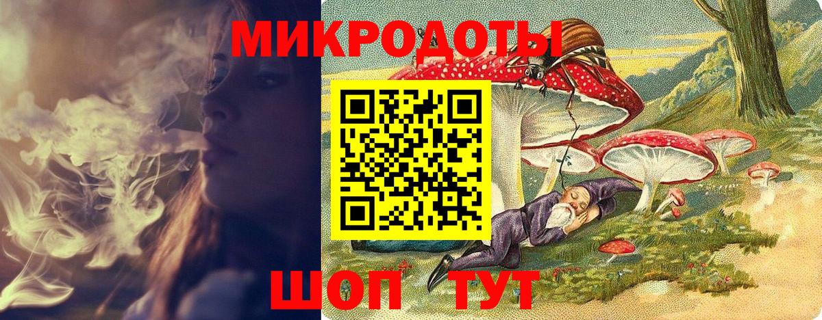 Галлюциногенные грибы Psilocybine cubensis Куйбышев