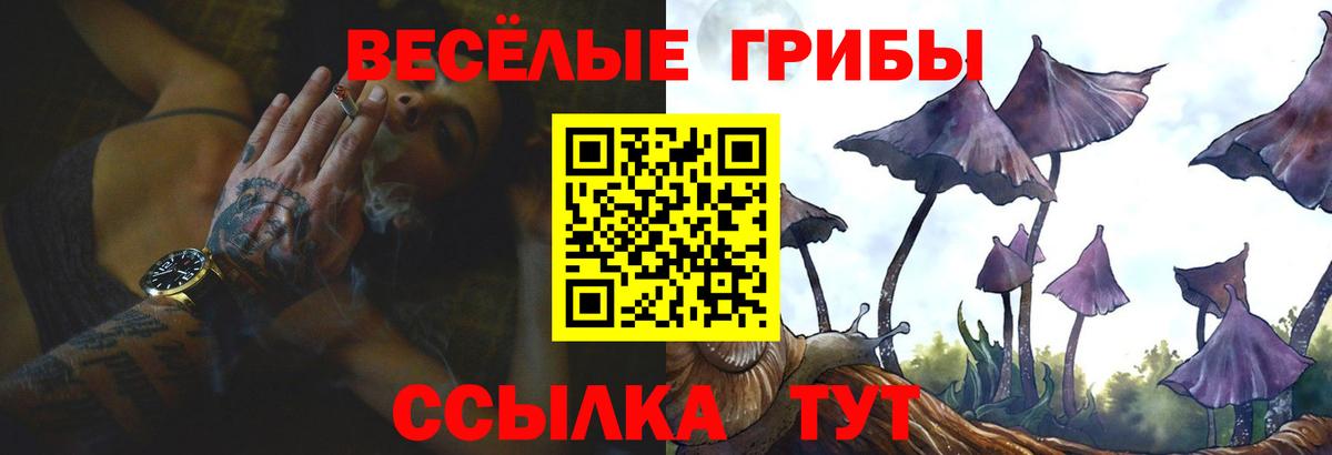 Куйбышев  Галлюциногенные грибы GOLDEN TEACHER  Вход с VPN 